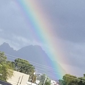 Meet your Posher, Dayanne